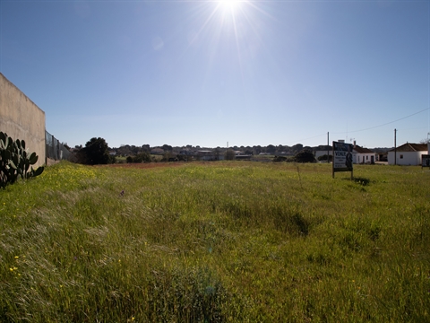 Terreno