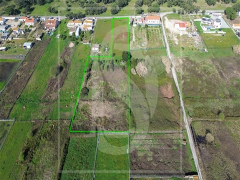 Terreno